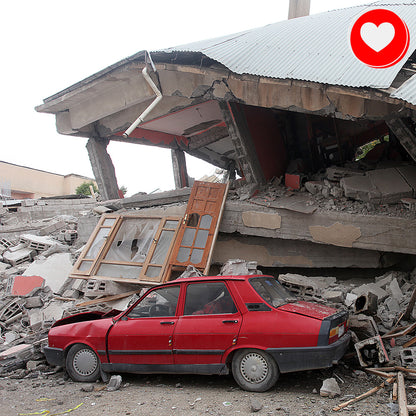 Help People and Pet Victims of Earthquakes