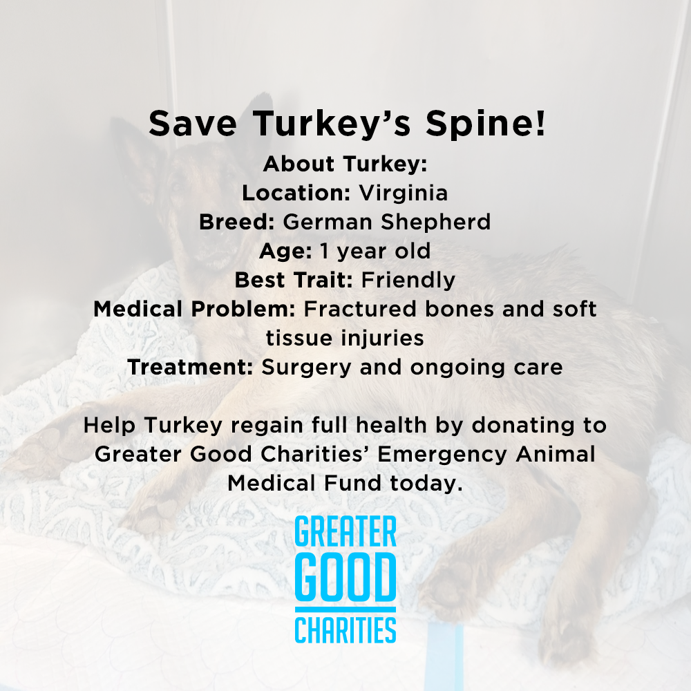 Funded - Save Turkey's Spine