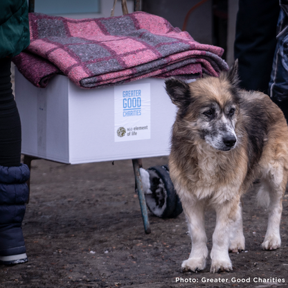 Crisis in Ukraine: Provide Relief to People and Pets