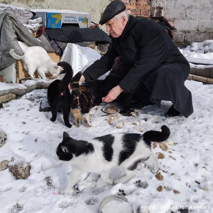 Crisis in Ukraine: Provide Relief to People and Pets