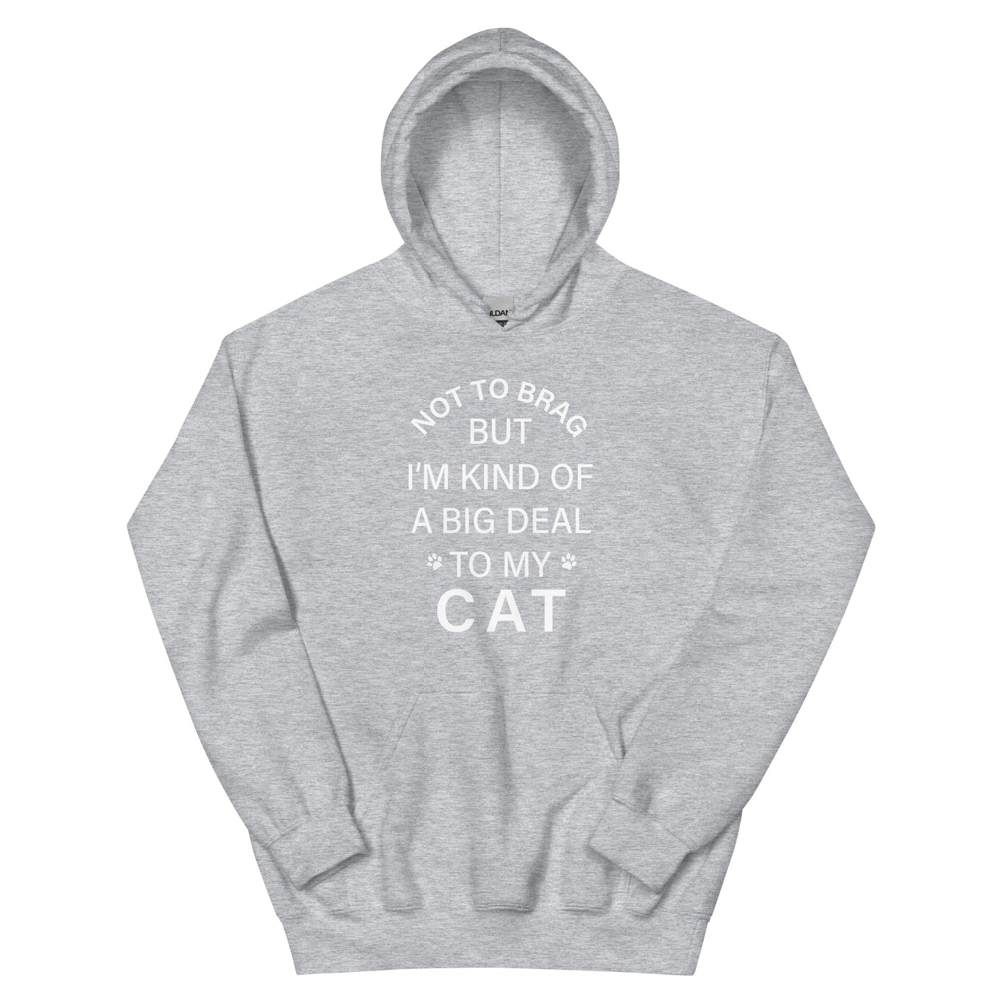 Not To Brag Cat Hoodie