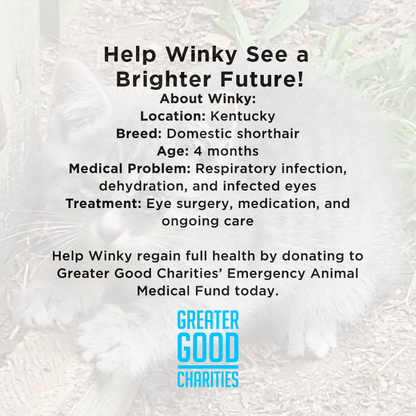 Funded - Help Winky See a Brighter Future