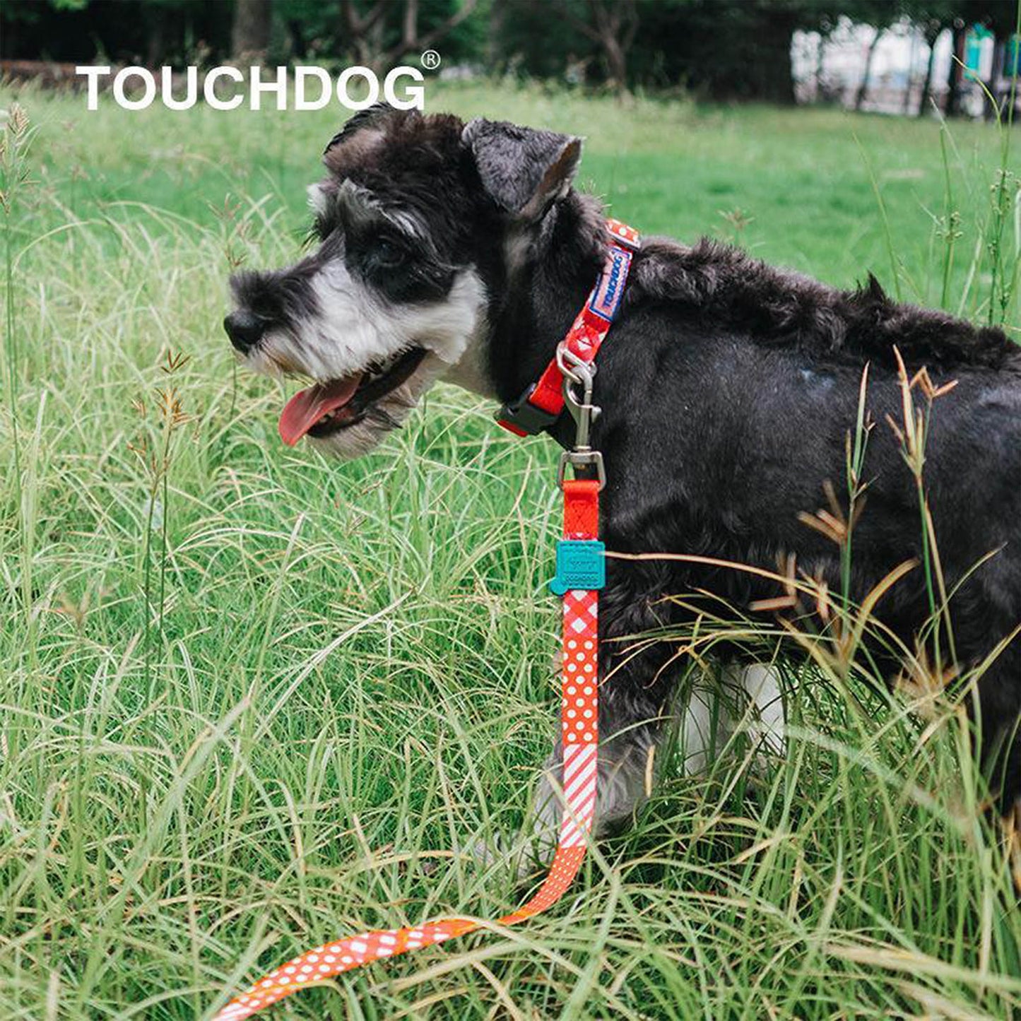 Touchdog&reg; Trendzy Dog Leash & Collar