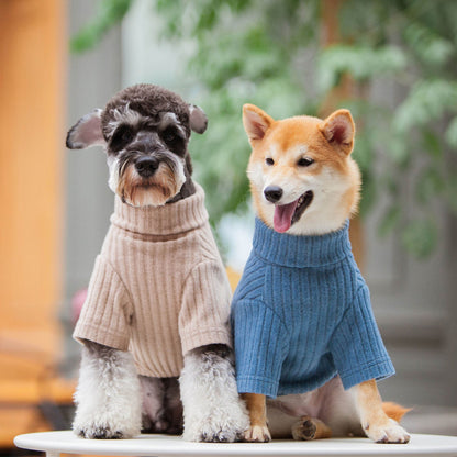 Touchdog&reg; Modress Dog Sweater & Dress