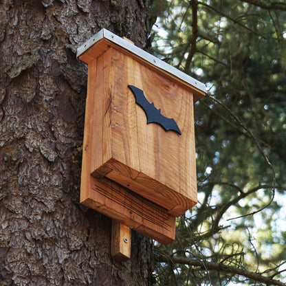 Provide Housing & Protection for Bats