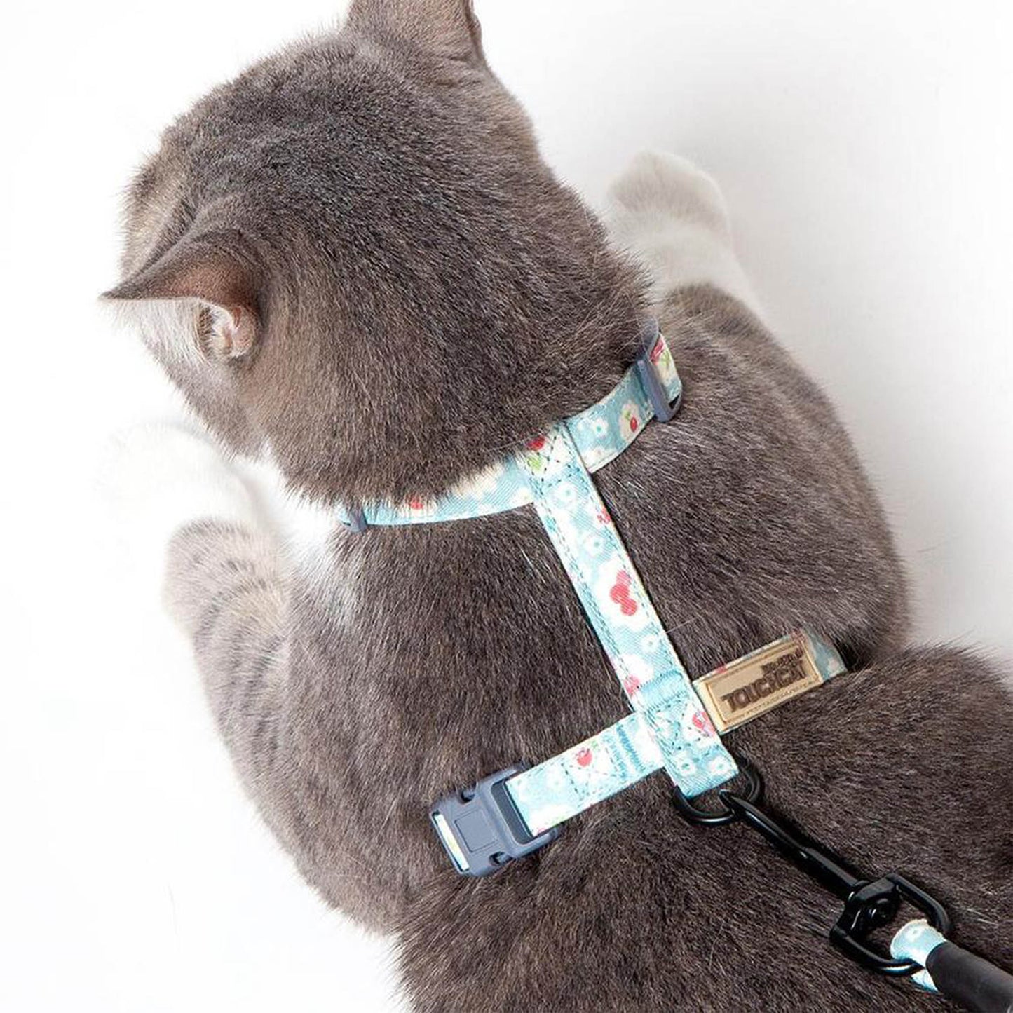Radi-Claw Cat Harness & Leash Set