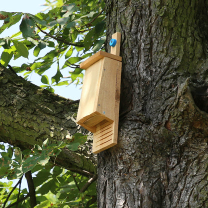 Provide Housing & Protection for Bats