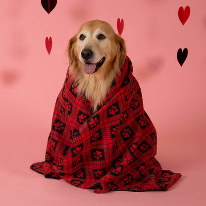 Send a Valentine & Love To a Shelter Fur Baby