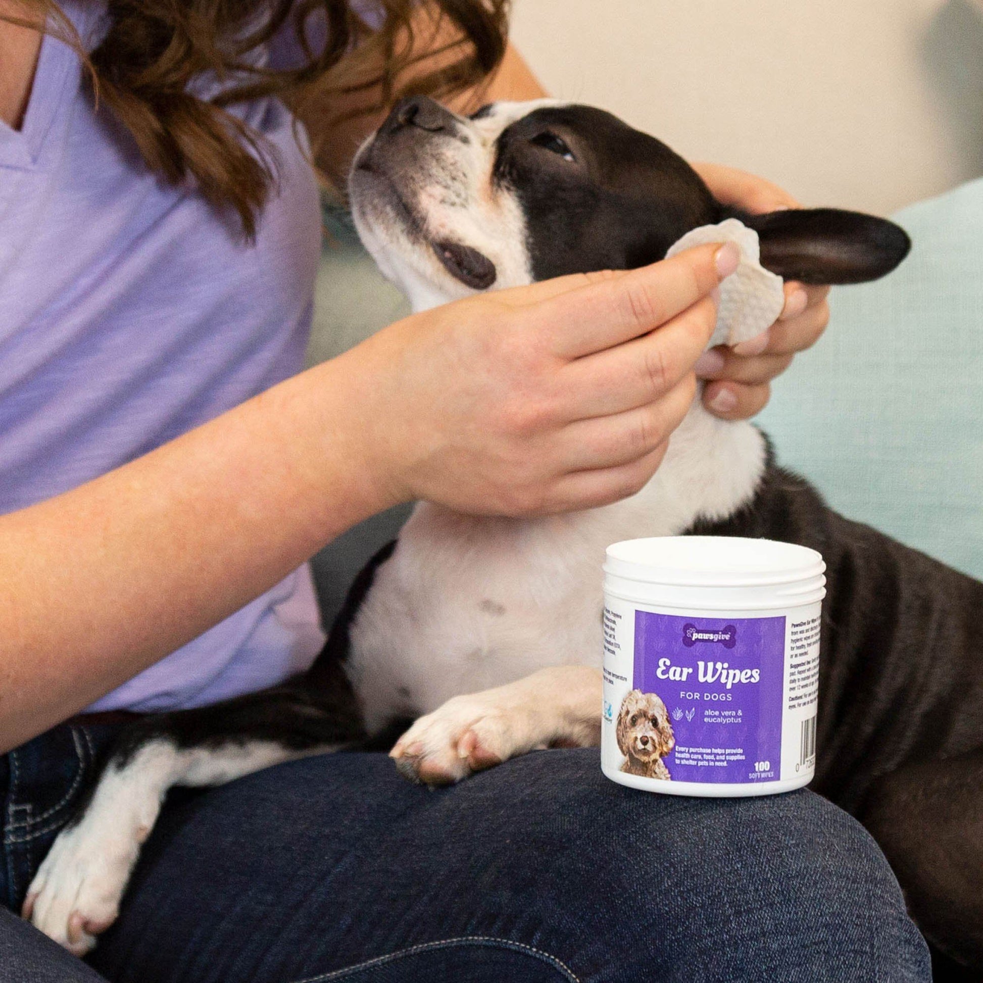 PawsGive - PawsGive Ear Cleaning Wipes For Dogs With Aloe & Eucalyptus - 100 Ct
