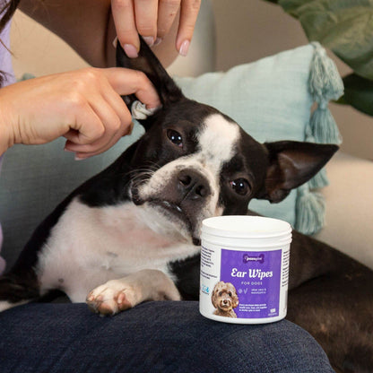 PawsGive - PawsGive Ear Cleaning Wipes For Dogs With Aloe & Eucalyptus - 100 Ct