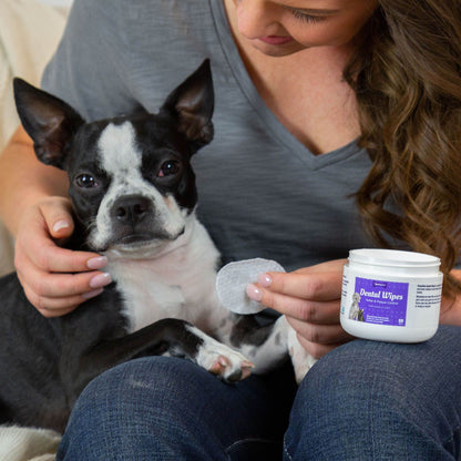 PawsGive - PawsGive Dental Wipes For Dogs To Reduce Tartar, Plaque And Bad Breath, 50 Wipes