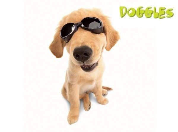 Black Doggles ILS Protective Eyewear