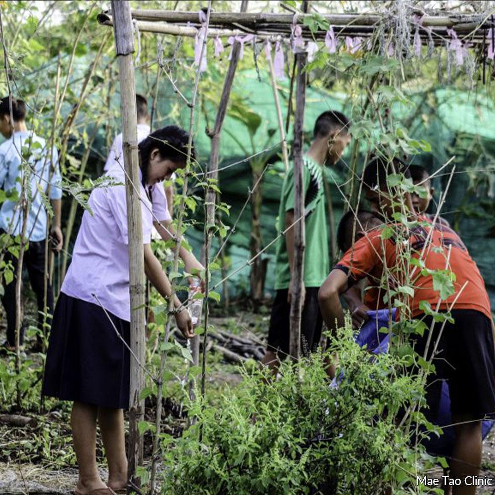 Donation - Protect & Feed Burma's Schoolchildren