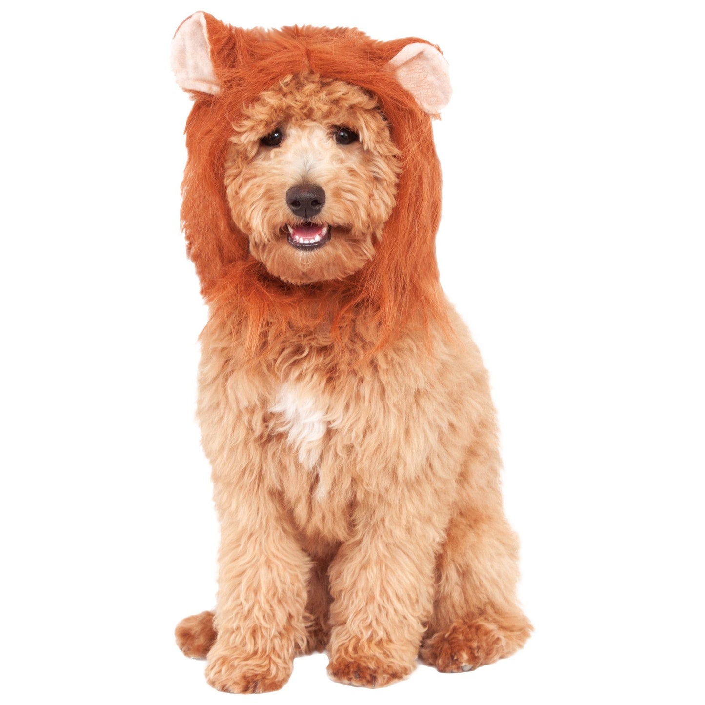 Lion's Mane Pet Costume