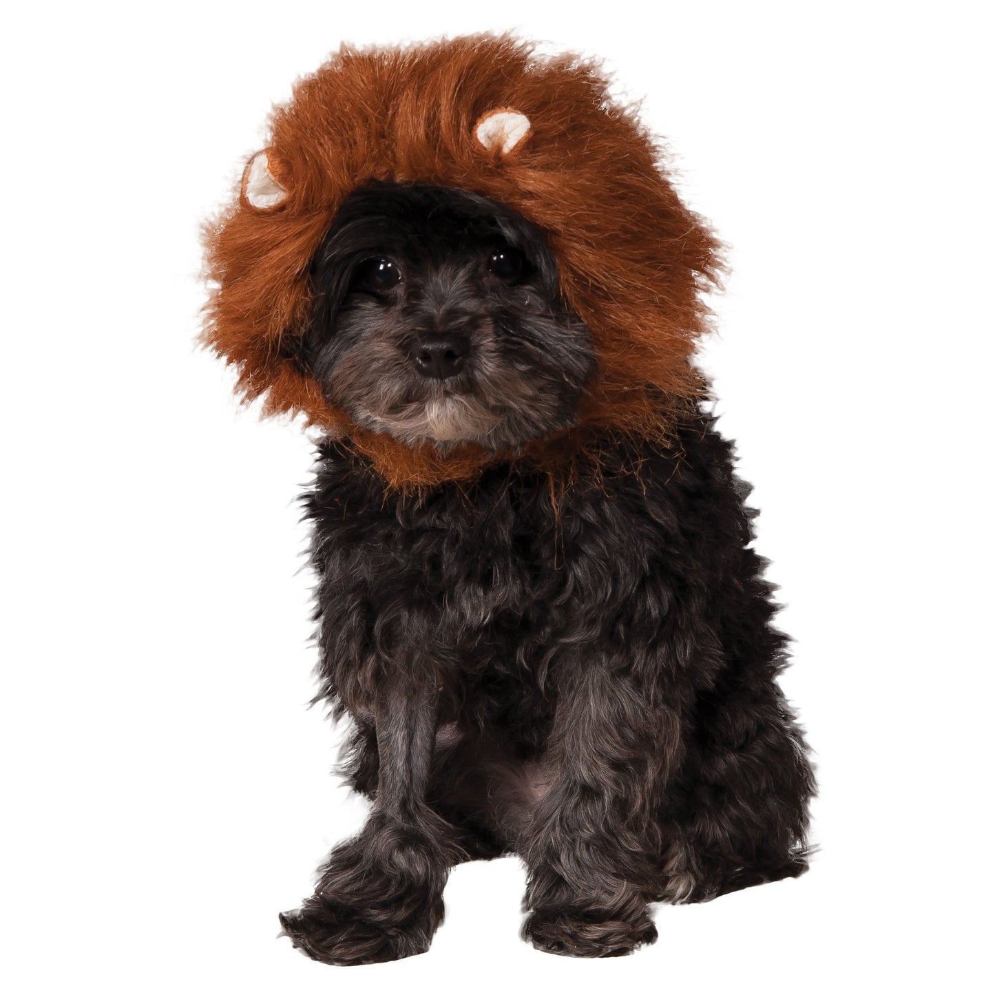 Lion's Mane Pet Costume