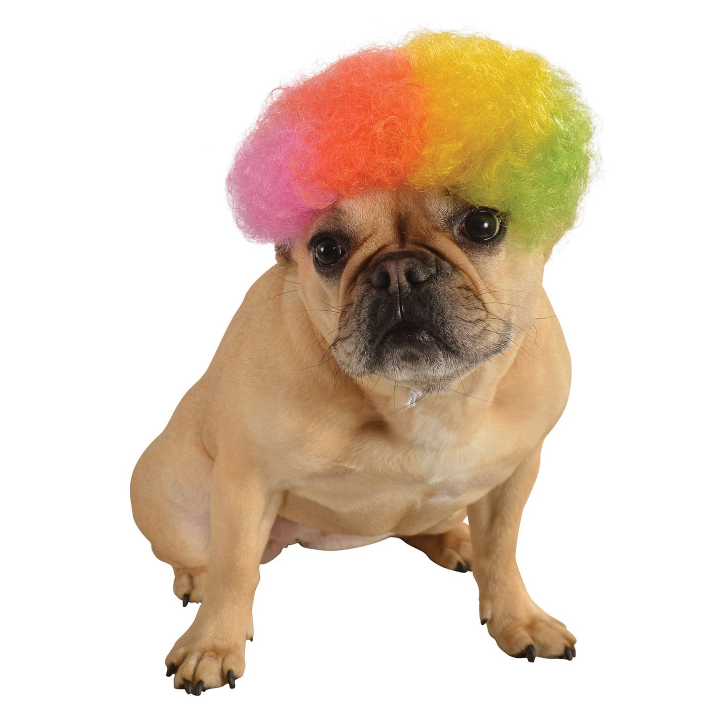 Rainbow Afro Pet Wig