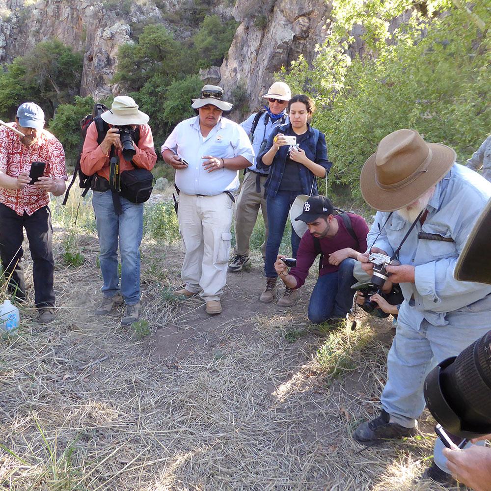 Donation - Madrean Discovery: Teach Students About The Sky Islands!