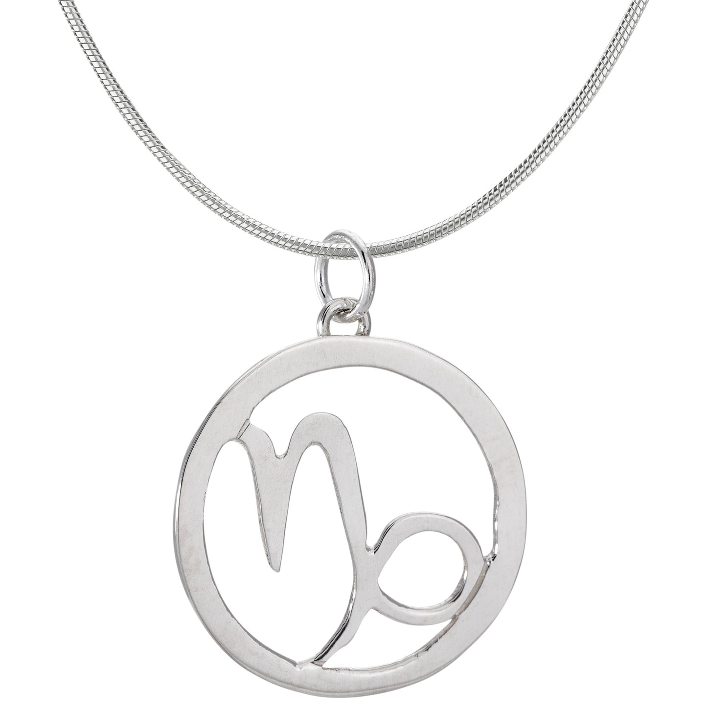 Zodiac Sign Astrology Necklace Collection