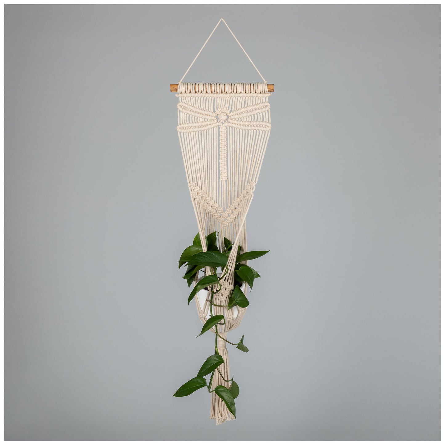 Macrame Hanging Plant Holder