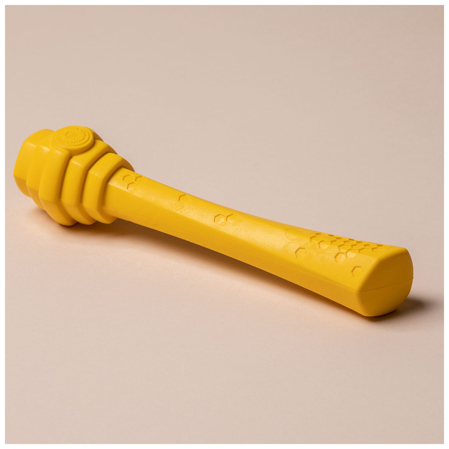 Project Hive&trade; Hive Fetch Stick