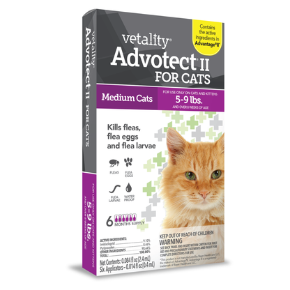 Vetality&trade; Avantect II for Cats