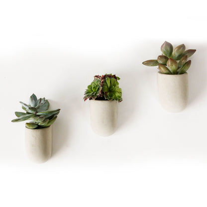 Magnet Plant Pots - Set of 3