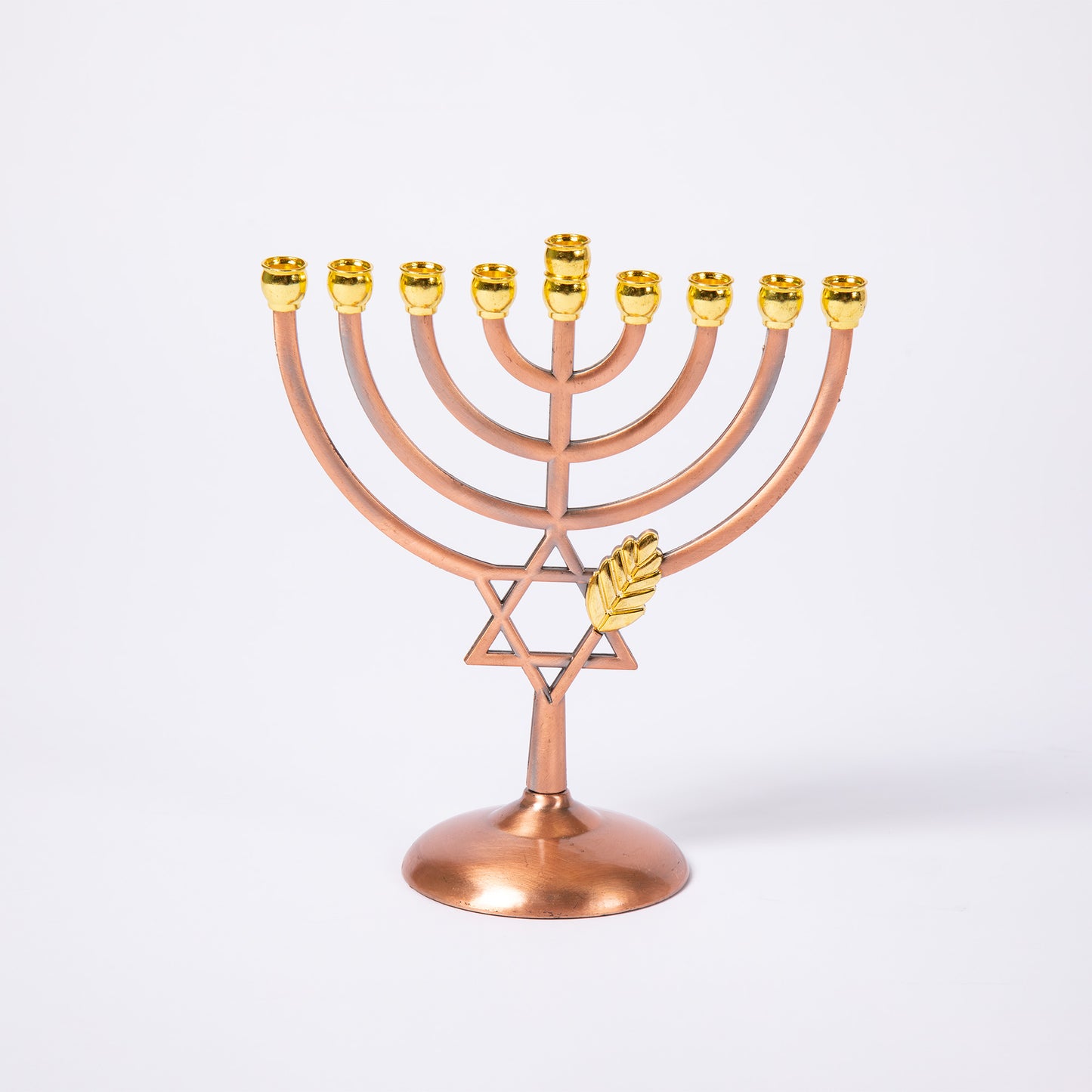 Hanukkah Menorah