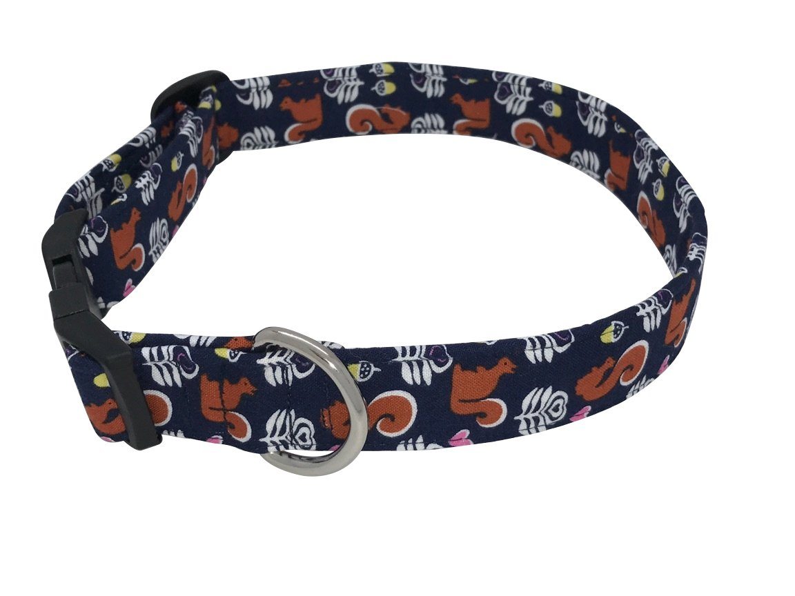 Elmo's Closet - Squirrel Dog Collar