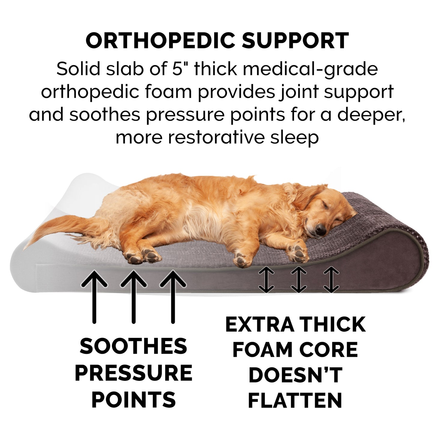 Minky Plush & Velvet Luxe Lounger Pet Bed