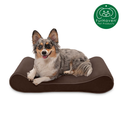 Orthopedic Microvelvet Luxe Lounger Pet Bed