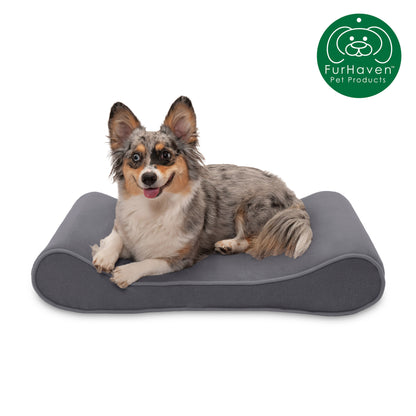 Orthopedic Microvelvet Luxe Lounger Pet Bed