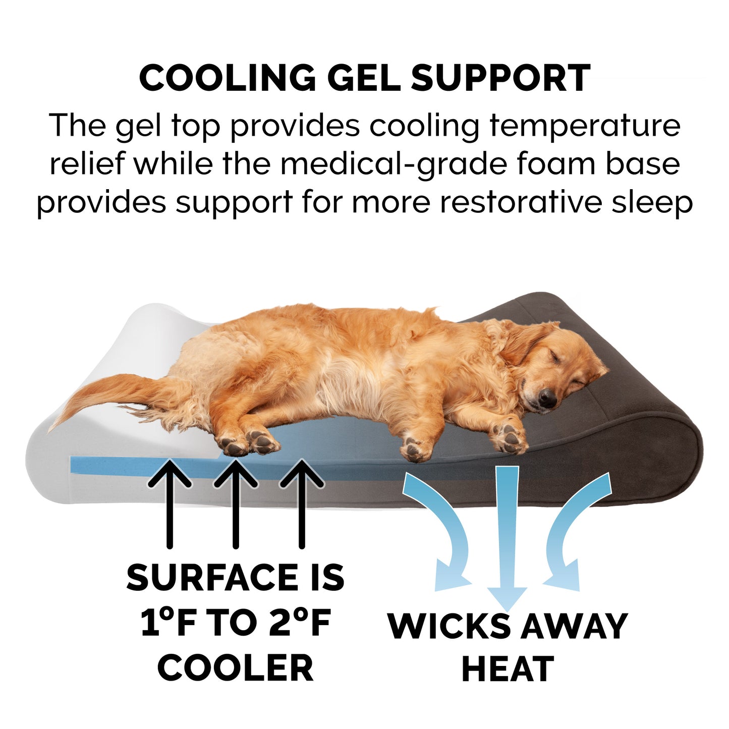 Orthopedic Microvelvet Luxe Lounger Pet Bed