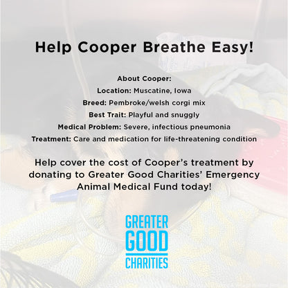 Funded - Help Cooper Breathe Easy