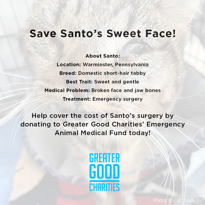 Funded - Save Santo's Sweet Face
