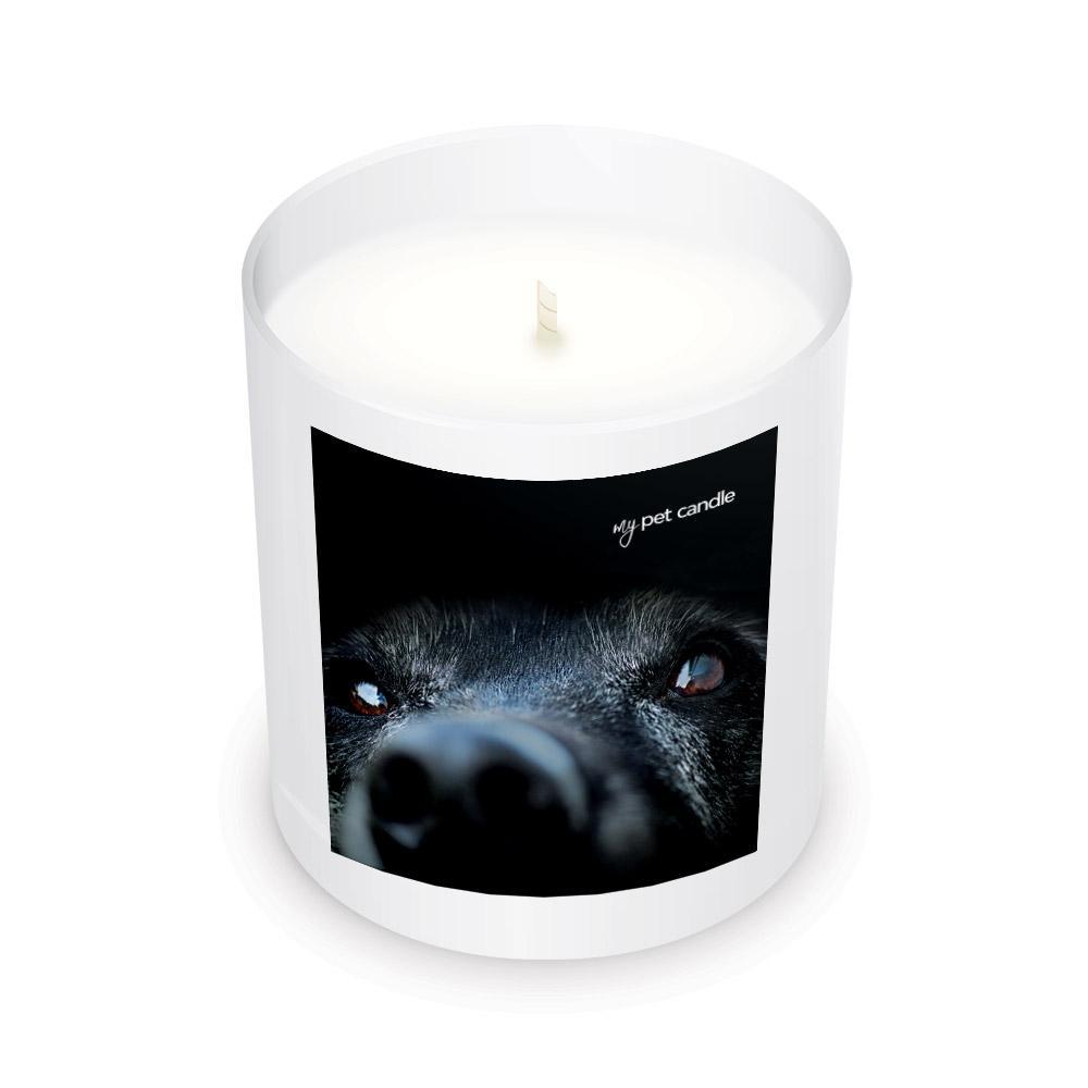 MyPetCandle - Lab Love Soy Wax Candle