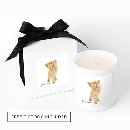 MyPetCandle - High Five Kitty Soy Wax Candle