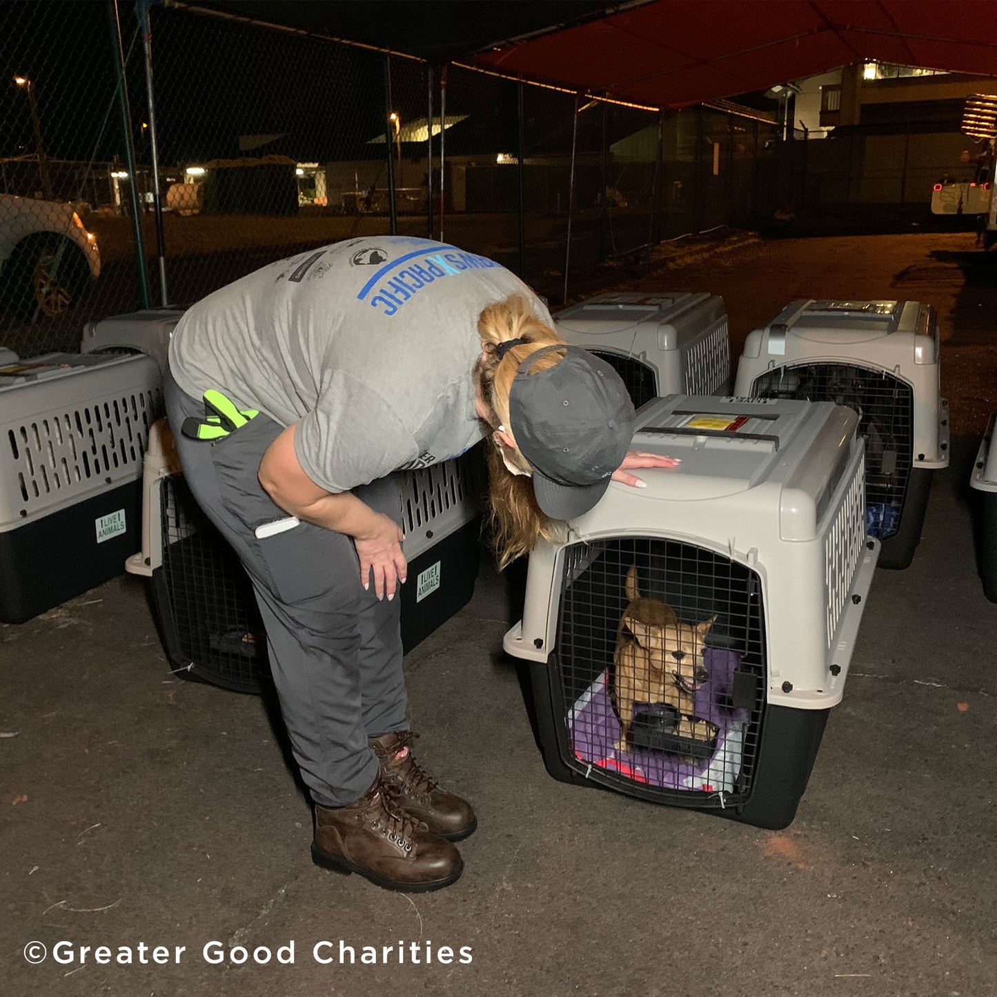 Fund Crates and More for Flights to Freedom