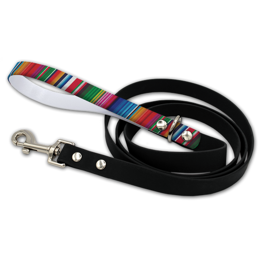 Technicolor Waterproof Leash