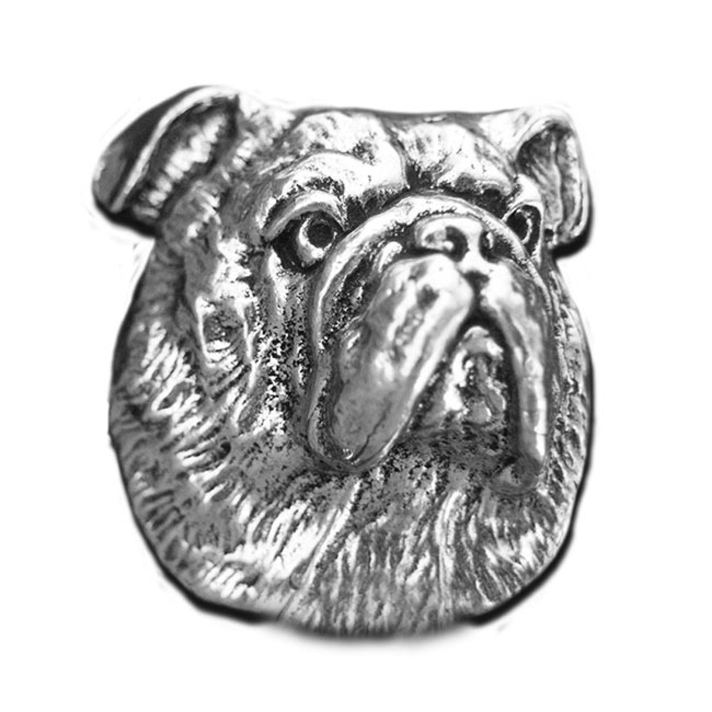 Bulldog Magnet