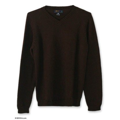 Favorite Memories Men's Brown Alpaca Sweater