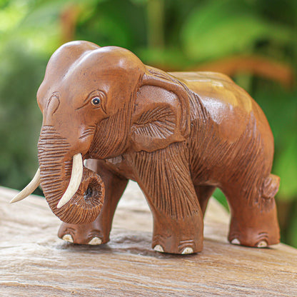 Majestic Elephant Rain Tree Wood Sculpture from Thailand