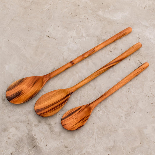 Peten Trio Set of 3 Unique Wood Serving Spoons