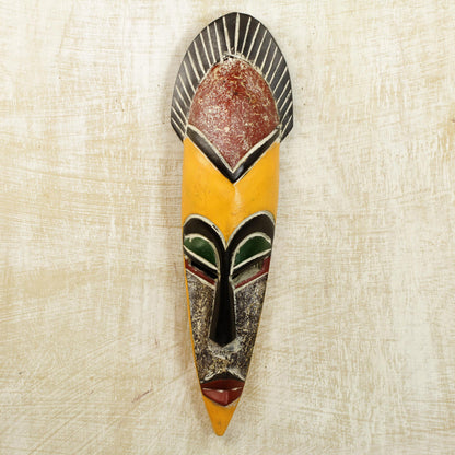 Protect the Jungle African Wood Wall Mask