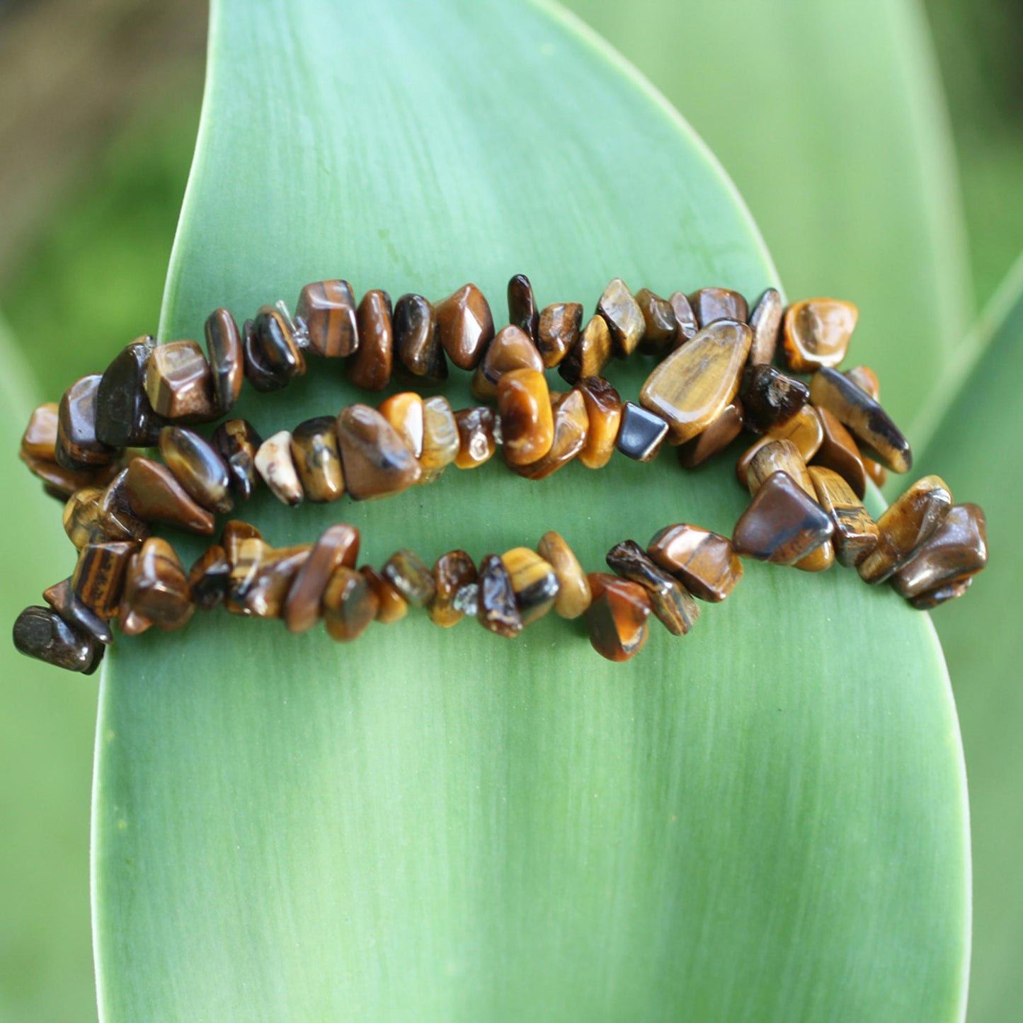 Wonders Tiger's Eye Beaded Bracelet