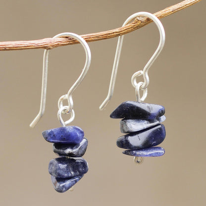 Nature's Harmony Sodalite Beaded Earrings