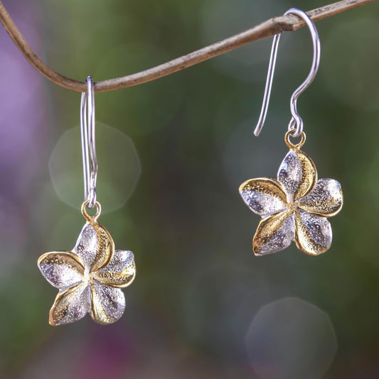 Golden Frangipani Sterling Silver Earrings with Gold Accent