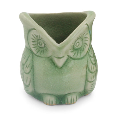 Happy Green Owl Handcrafted Green Thai Celadon Bird Theme Pot