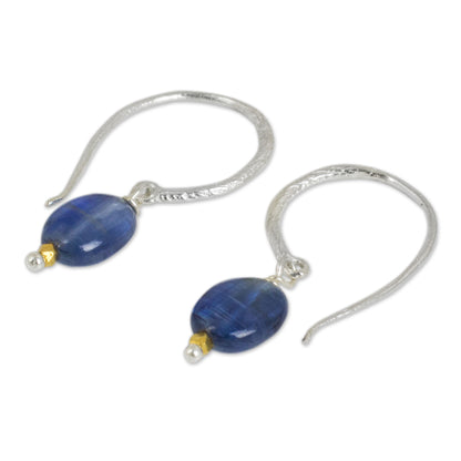 Accents Kyanite Dangle Earrings