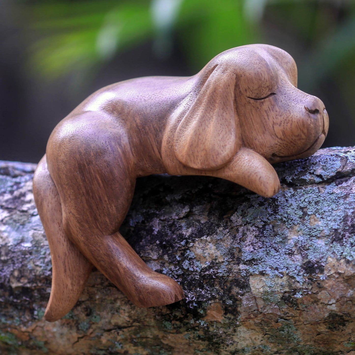 Sleepy Cocker Spaniel Sleeping Cocker Spaniel Puppy Sculpture Carved in Wood