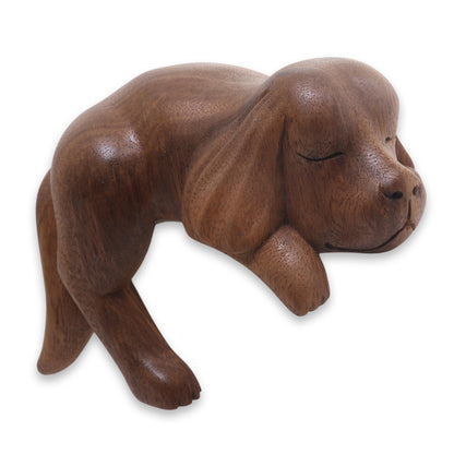 Sleepy Cocker Spaniel Sleeping Cocker Spaniel Puppy Sculpture Carved in Wood